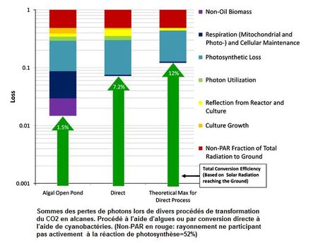 Rendements conversion directe