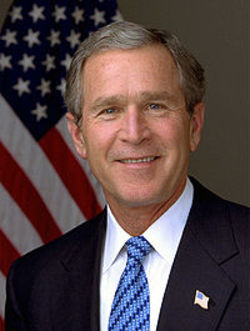 Bush