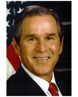 Bush