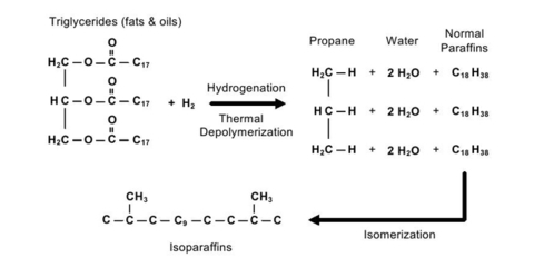 Nesteoilprocess