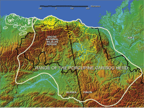 Porcupinecaribouherd