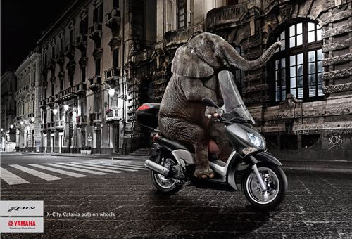 Pub yamahaxcitycatania