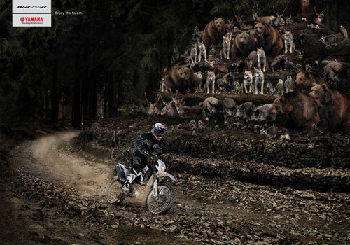 Pub b YAMAHAFOREST
