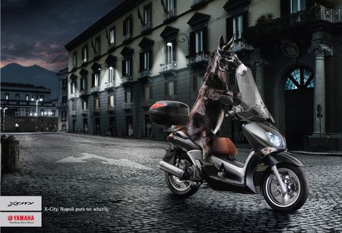 Pub yamahaxcitydonkey