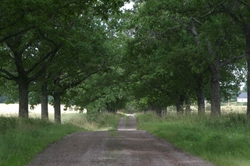 les route, une nouvelle énergie?