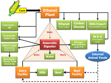 Vouloir faire de l’éthanol de maïs et avoir des idées ne sont pas incompatibles!