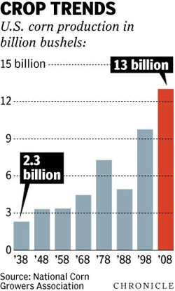Relaxation des cours du maïs américain sur fond de bonne récolte dans la Corn Belt