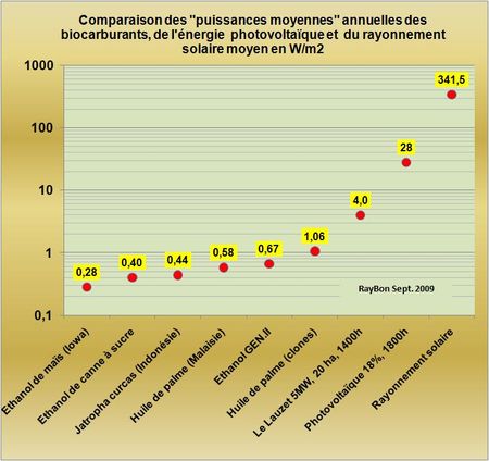 Cultiver du Jatropha curcus en Indonésie pour rendre vert le gasoil taïwanais