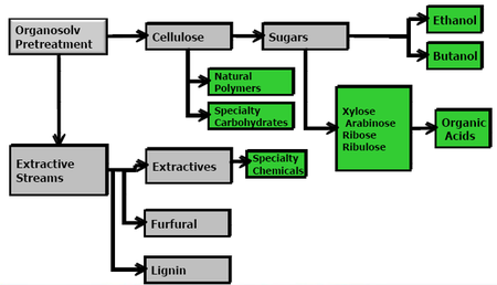 Accord entre le danois Novozymes et le canadien Lignol pour mettre au point un procédé d’alcool cellulosique économiquement viable
