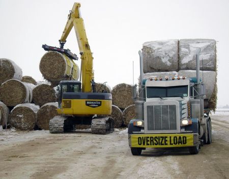 L’industrialisation des biocarburants de deuxième génération va-t-elle trouver une issue économiquement viable?