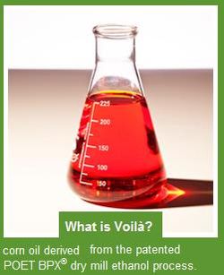 Biocarburants: le maïs va fournir également de l’huile pour biodiesel