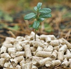 RWE :des granulés de bois américains pour les centrales thermiques européennes par centaines de milliers de tonnes