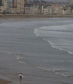 Heureuse année 2007