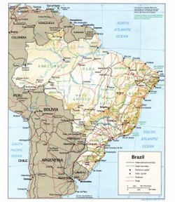 La Grande désillusion des Bio-Carburants