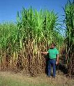 carburants industriels : comment faire ?