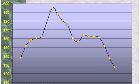 Baisse des cours du charbon australien sur fond de ralentissement des importations chinoises