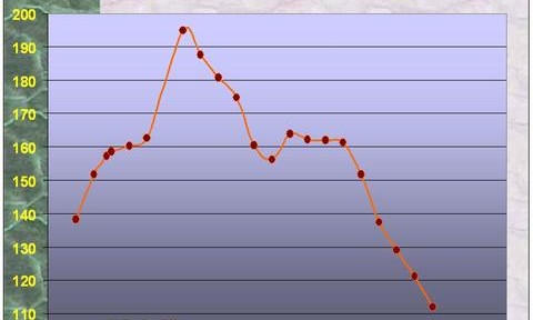 Les cours du charbon poursuivent leur chute sur fond d’absence de transactions
