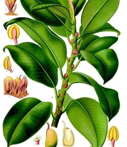 ça sent le caoutchouc brûlé…