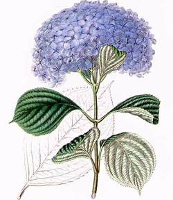 La Pologne a perdu son stock stratégique de pétrole