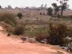 Massacre chez Delta Airlines…