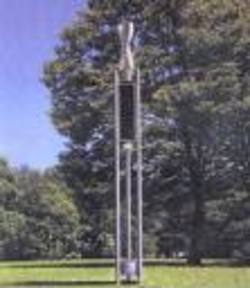 Les « asperges » vont surgir partout.