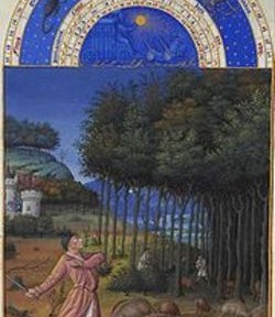 Marché automobile français en Novembre.