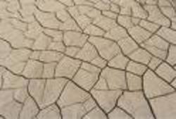 Mexico, Californie, Australie même constat…