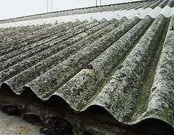 Torchons et serviettes… chêvres et choux…