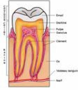 C’est lassant !!!!!!!!!