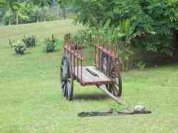 Volvo et Scania : même combat.