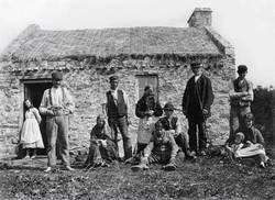 Banque mondiale : c’est la faute aux biocarburants.