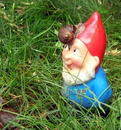 La voie de l’ Iran : je méprise…