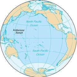 Un continent de déchets.