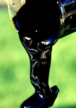 Grand froid dans les sables bitumineux