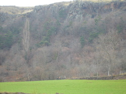 Le bois énergie ou la longue histoire de la forêt en France. Article V