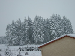 Forêts : une exploitation pas toujours évidente