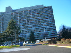 Habitat collectif, plus économique ?l