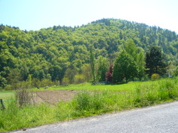 Le bois énergie ou la longue histoire de la forêt en France. Article II.