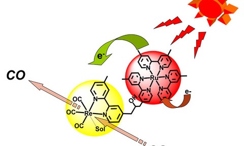 Un nouveau pas vers la photosynthèse artificielle grâce aux associations de structures organométalliques