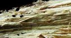 Appuyez sur le champignon