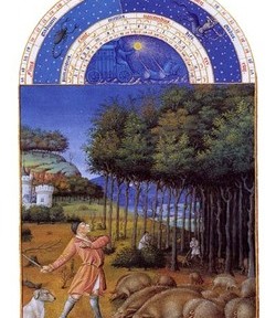 La paille et la poutre II