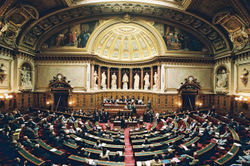 Rapport du Sénat II