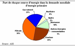 le charbon premère source d’énergie en chine