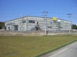 Japon: une usine de culture de légumes éclairée par des panneaux solaires couplés à des LED