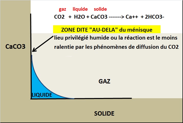 La raison pour laquelle je n’ai pas trop d’inquiétudes pour les coraux