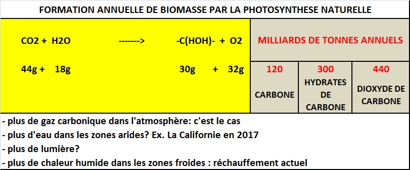 Un accroissement naturel de production de biomasse devrait stabiliser les teneurs atmosphériques de CO2