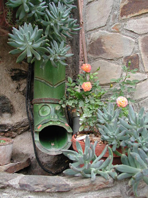 L’eau de pluie: la récupérer