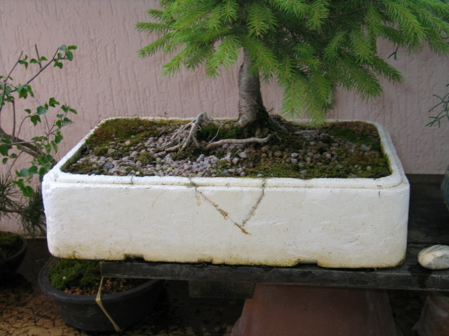 Utilisez les caissettes …