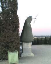 Jardin : protéger ses plantes avant l’hiver