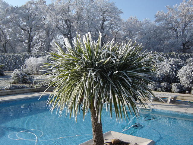Manifestations du mois de janvier